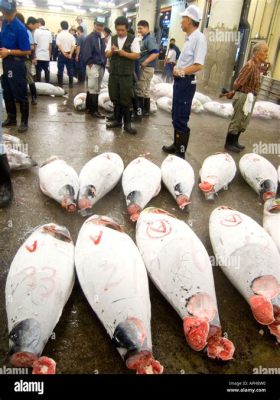 Tsukiji Fish Market Auction:  Một buổi sáng đầy náo nhiệt và đầy cảm xúc với sự góp mặt của Endo Kazutoshi