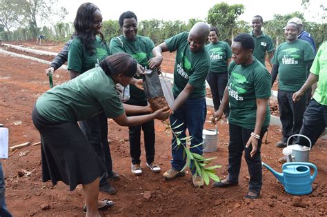 Green Belt Movement; Planting Seeds of Hope and Empowering Kenyan Women